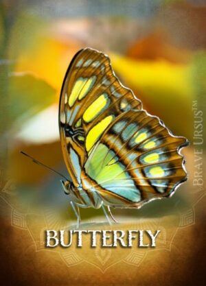 Butterfly Spirit Animal Altar & Prayer Card