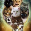 Cat Spirit Animal Altar & Prayer Card