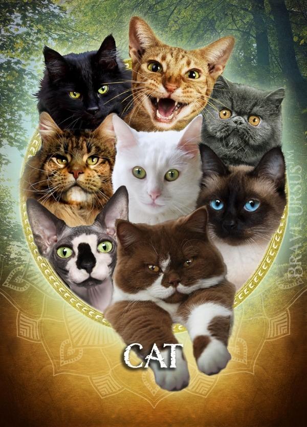 Cat Spirit Animal Altar & Prayer Card