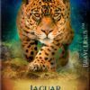 Jaguar Magnet