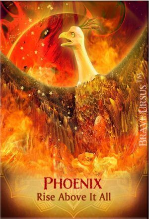 Phoenix Magnet