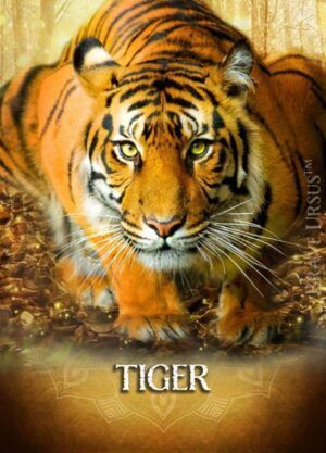 Tiger Spirit Animal Altar & Prayer Card