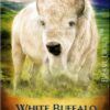 White Buffalo Magnet