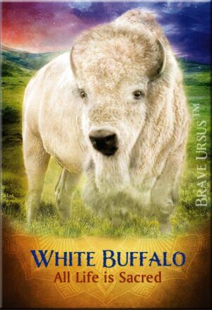 White Buffalo Magnet
