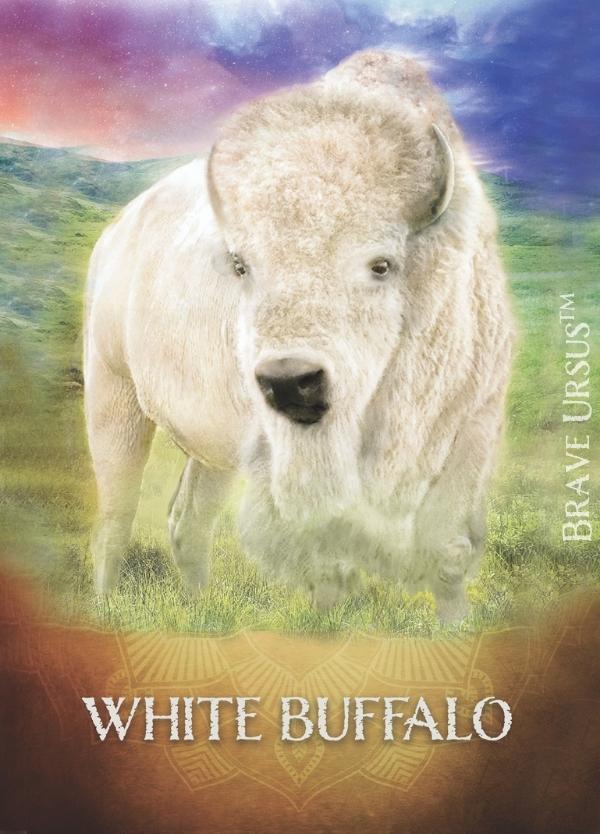 White Buffalo Spirit Animal Altar & Prayer Card