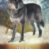 Wolf Spirit Animal Altar & Prayer Card
