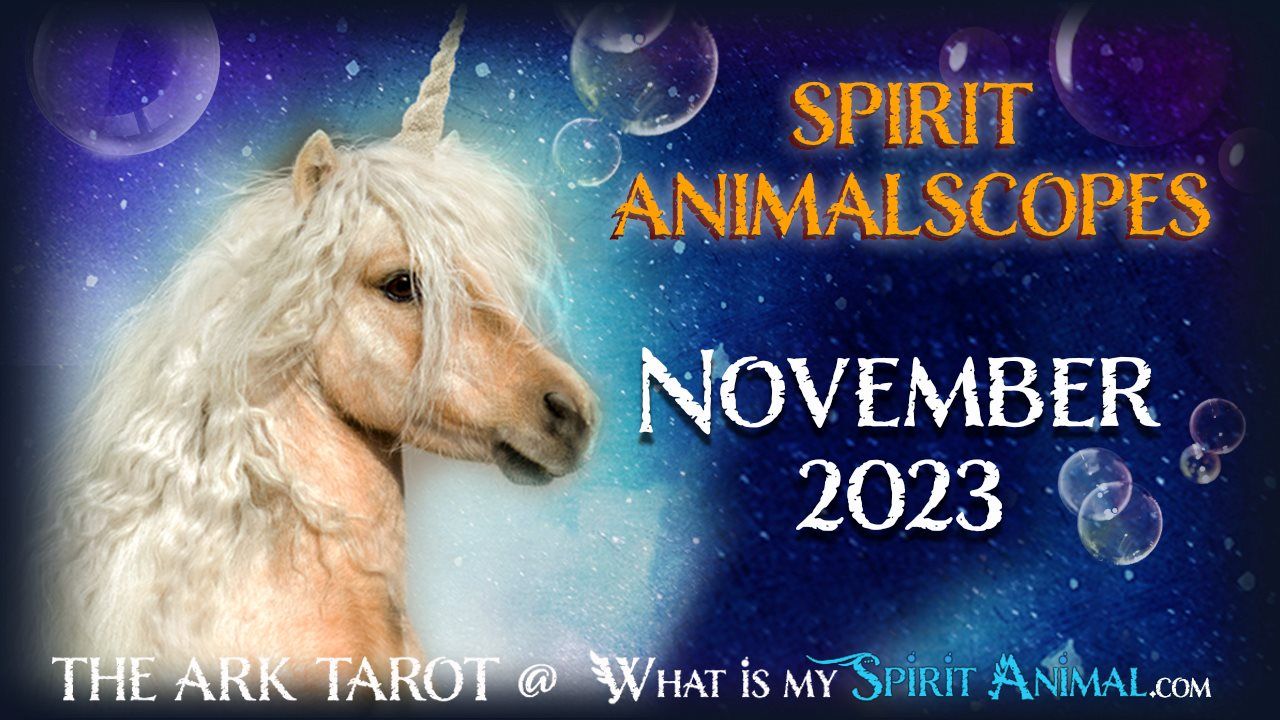 November 2023 Tarot and Spirit Animalscopes 1200x630